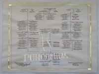 RBOL GENEALGICO / ARBRE GENEALOGIC, ESQUEMATIZADO Y RIBETEADO